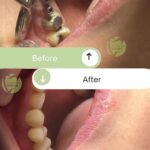 dr-fatemeh-arbabi (12)