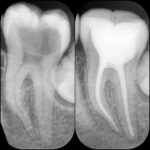 dr-zahra-soufinejad (9)
