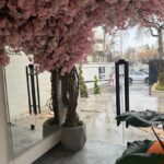 farnaz_dental_clinic (6)