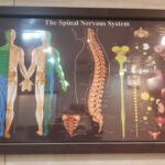 sepanta-Physiotherapy (4)