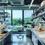 driranimedicallab (4)