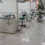 dental-abrisham (2)